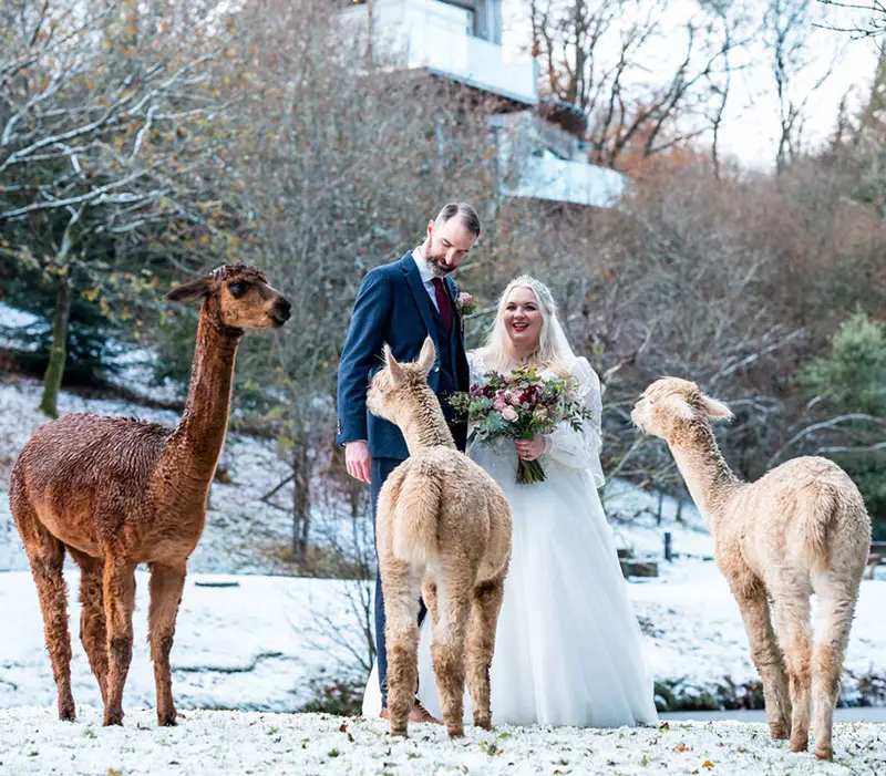 Winter wedding at Tree Top Escape treehouse venue, North Devon
