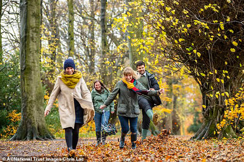 Local Walks