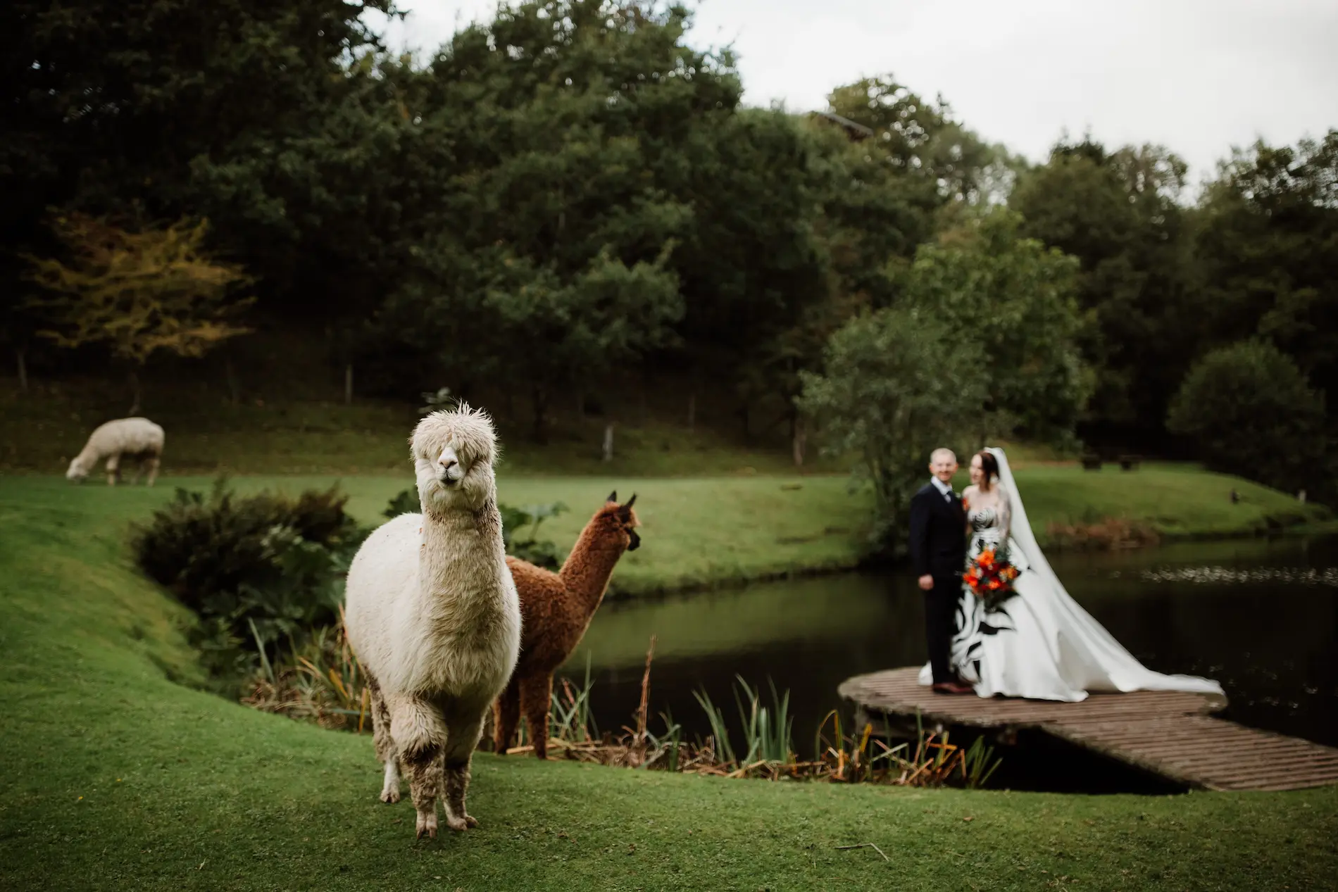 Bride and groom in the grounds at Tree Top Escape intimate wedding venue, Devon